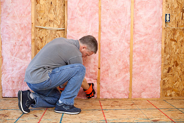 Best Insulation for New Construction  in Forestde, AL